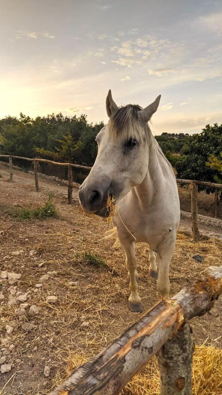Roba Albanisi Hotel Aragona Bagian luar foto