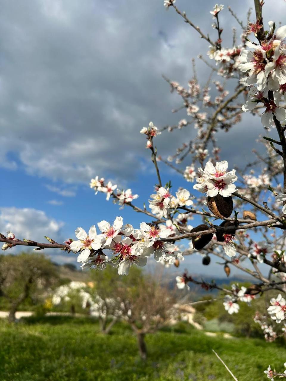 Roba Albanisi Hotel Aragona Bagian luar foto